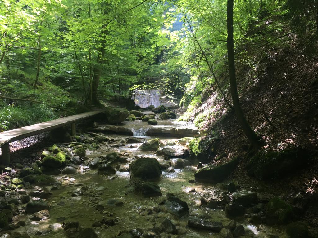 Bed And Breakfast Oase Im Seetal Gelfingen Zewnętrze zdjęcie