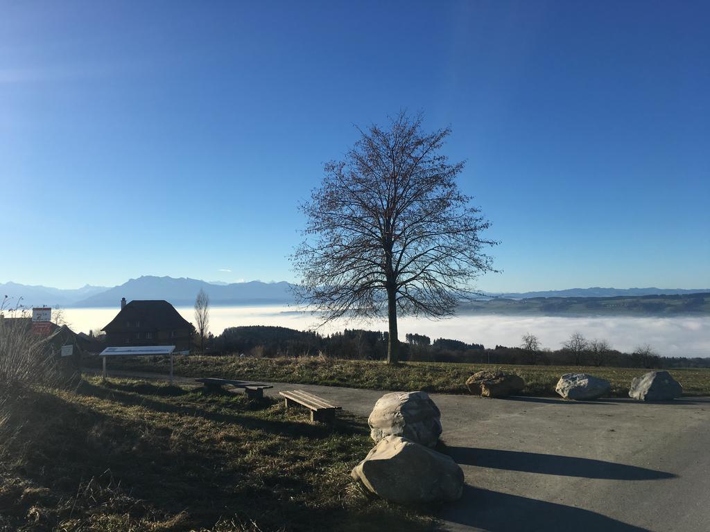 Bed And Breakfast Oase Im Seetal Gelfingen Zewnętrze zdjęcie